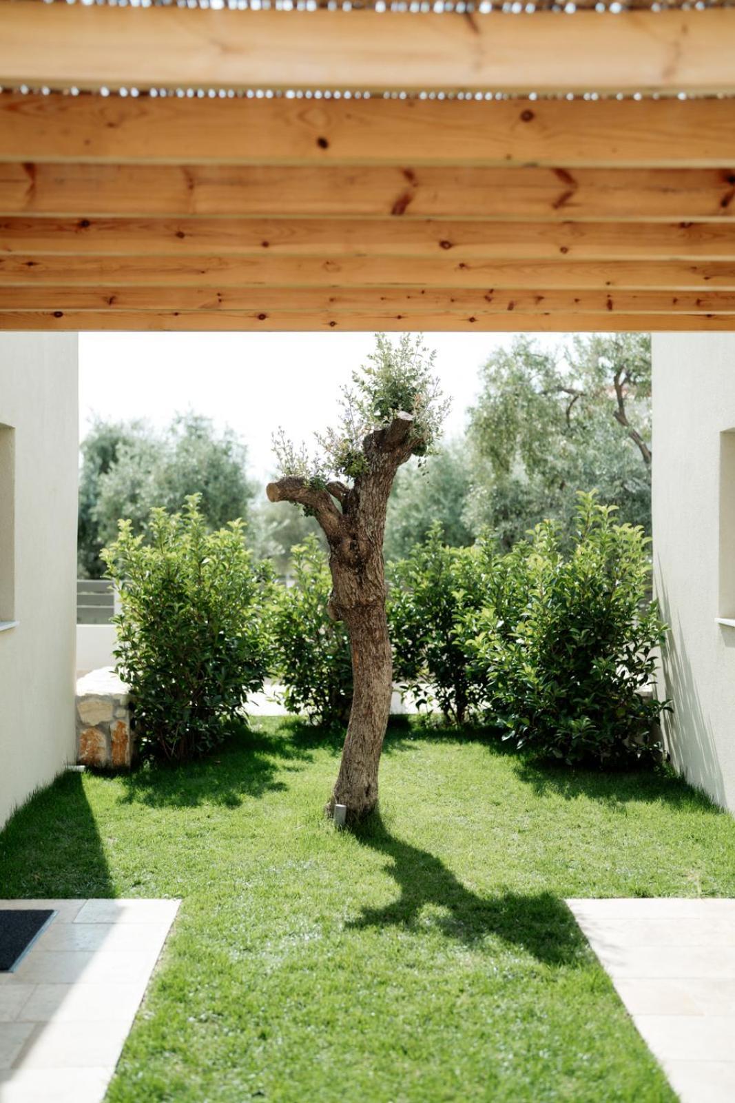 Magnolia Villas Potos Thassos Екстериор снимка